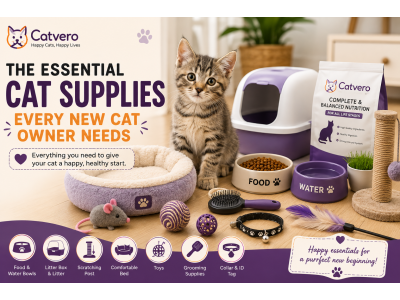 The Essential Cat Supplies Every New Cat Owner Needs