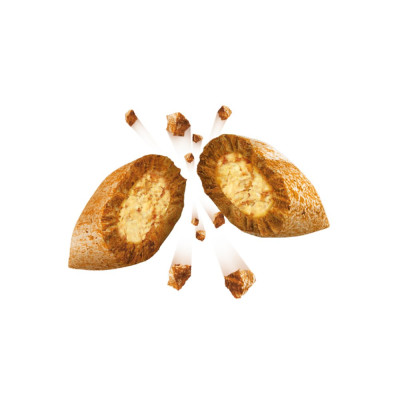 DREAMIES Cat Treat Biscuits With Beef Flavour 60g